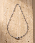 The whole silver-tone Atlas O-link chain laid on warm stone